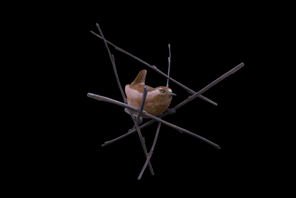 ADAM BINDER - wren - edition 20/36