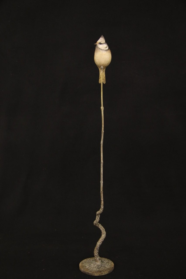 Crested Tit (Edition 16/24)