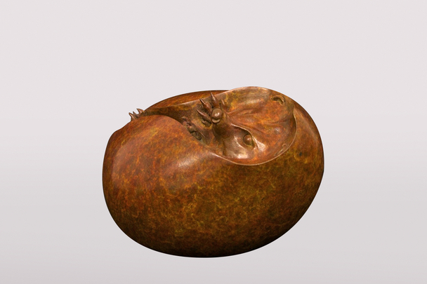 ADAM BINDER - hedgehog iii (edition 20/24)