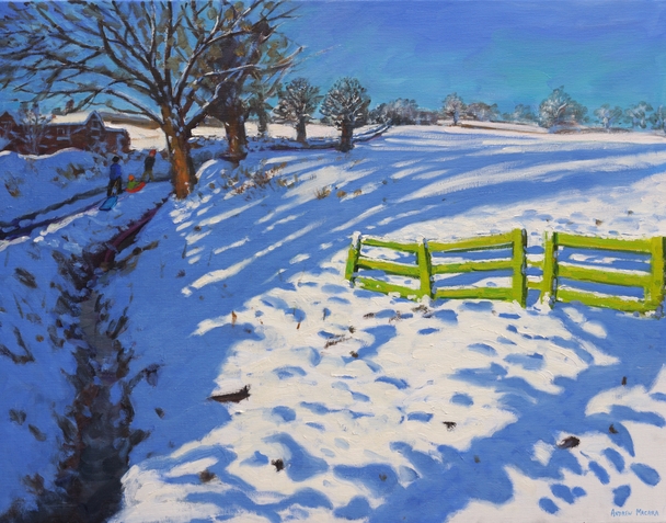 ANDREW MACARA  - kedleston, derbyshire in winter