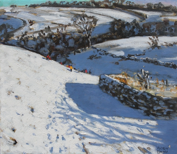 ANDREW MACARA  - winter walk, monyash, derbyshire 