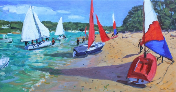 ANDREW MACARA  - sailing practice, salcombe, devon