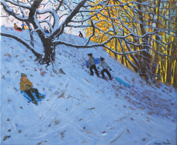 ANDREW MACARA  - sledging, allestree, derbyshire