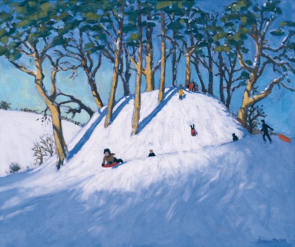 ANDREW MACARA  - welsh hillside in winter