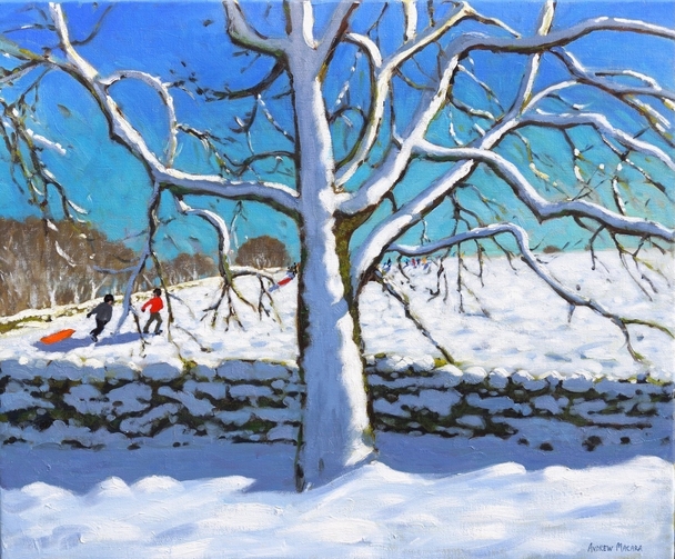 ANDREW MACARA  - tree in winter