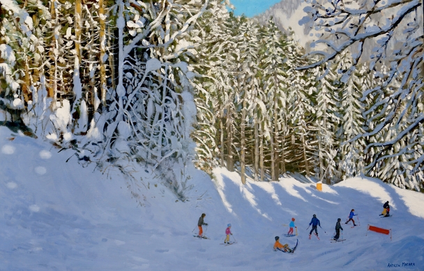 ANDREW MACARA  - trees and shadows, morzine, france