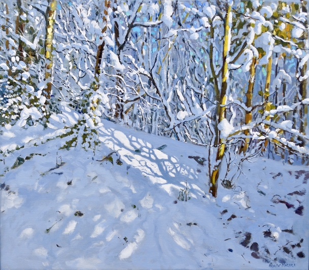 ANDREW MACARA  - deep snow, allestree woods, derbyshire