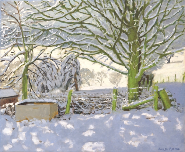 ANDREW MACARA  - water trough, upper hulme, leek