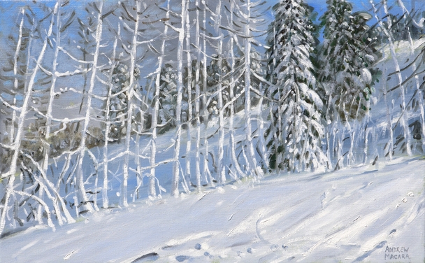 ANDREW MACARA  - snowy trees, les arcs