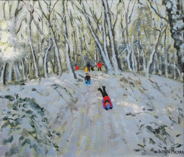 ANDREW MACARA  - sledging in allestree woods