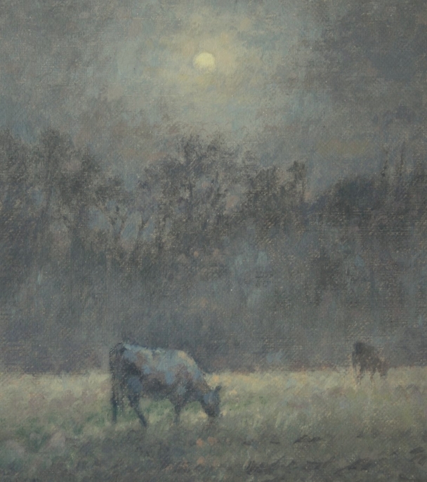 Black Cows at Night