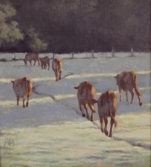 ANN HEAT RBA - cattle - frosty morning