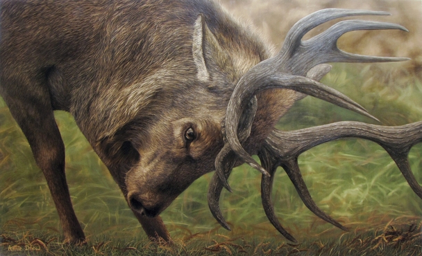 The Rutting Stag