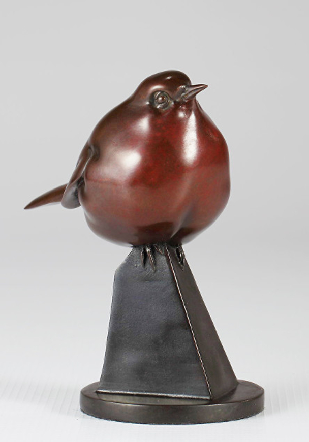 Curious Robin (11/36)