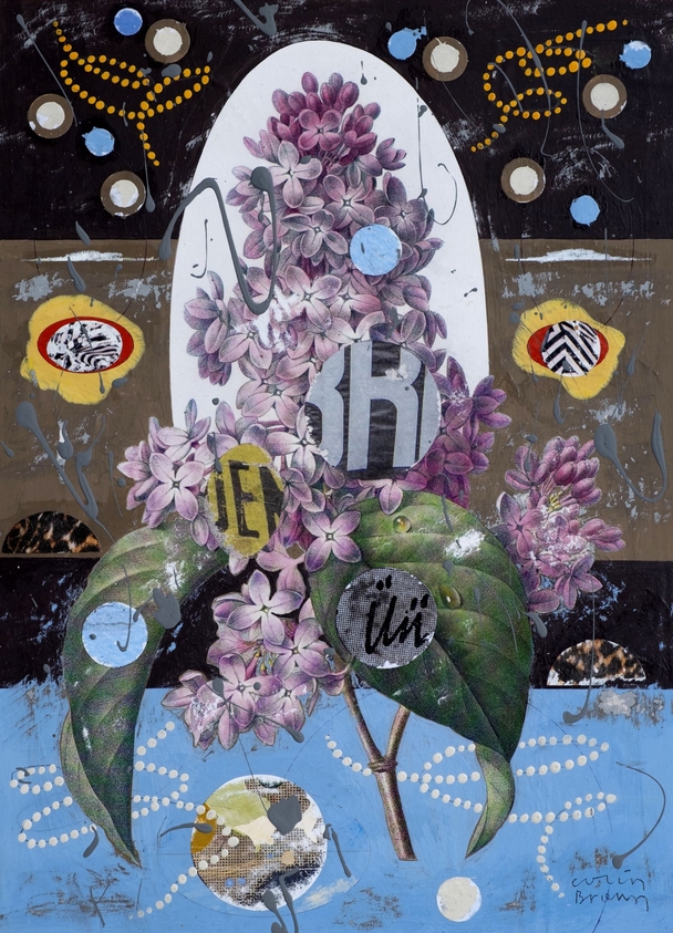 Colin Brown - Common Lilac