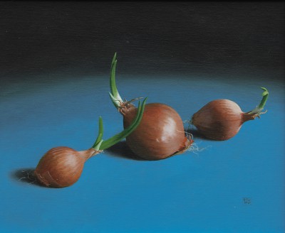 British Artist DAVID GLEESON - Onions