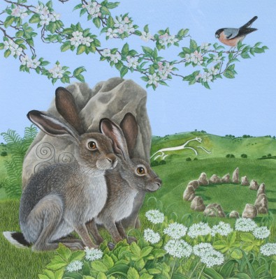 Watchful Hares