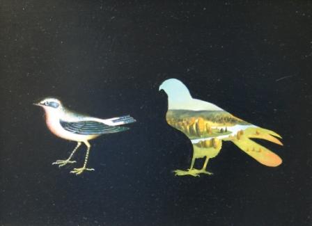 DAVID SCHOFIELD - friday night, saturday morning