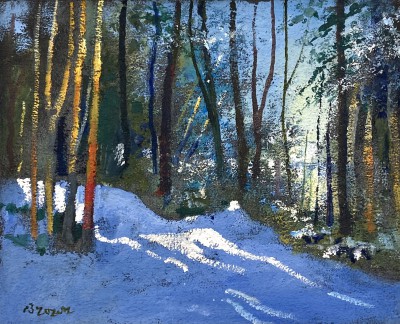 Galloway Woodland in Snow