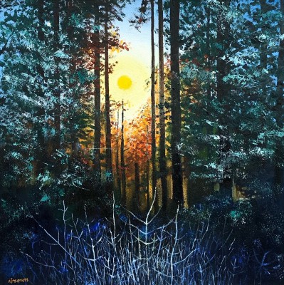 DAVY BROWN - winter sun