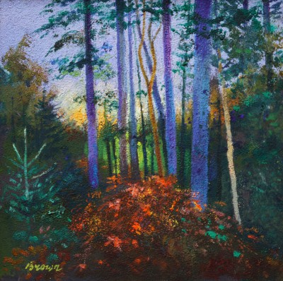 DAVY BROWN - sunrise through the forest