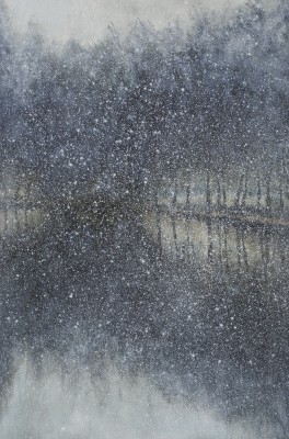 DONALD PROVAN - snowfall