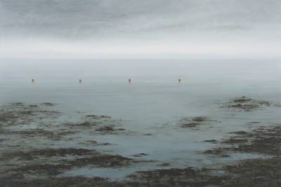 DONALD PROVAN - morning calm