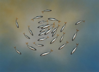 DONALD PROVAN - congregation