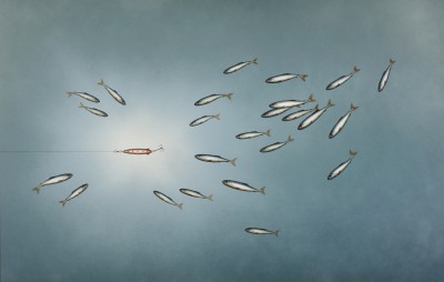 DONALD PROVAN - pulling power