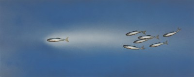 DONALD PROVAN - trailing