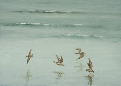 DONALD PROVAN - skim