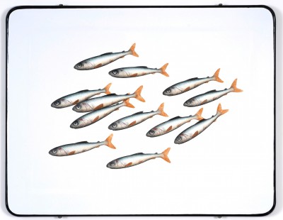 DONALD PROVAN - for the chop