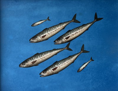 DONALD PROVAN - outflanked