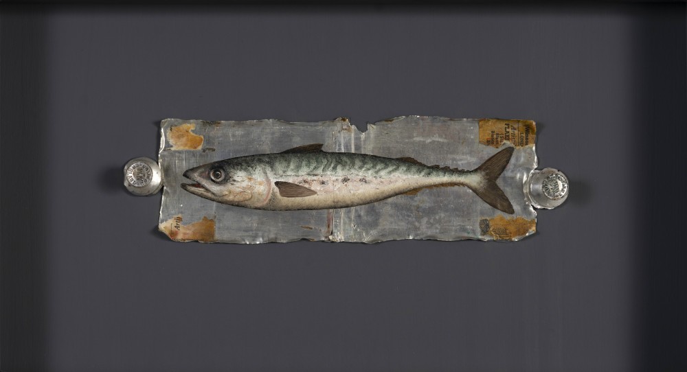 Scottish Artist DONALD PROVAN - Little Mackerel