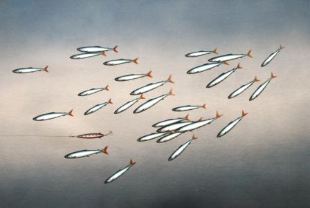 DONALD PROVAN - lost in the crowd