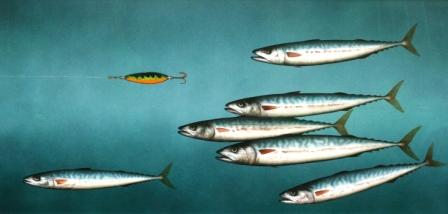 DONALD PROVAN - standing out