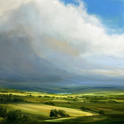 HARRY BRIOCHE - quiet contemplation