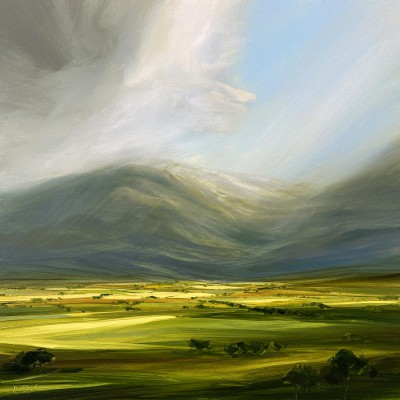 HARRY BRIOCHE - return to blue