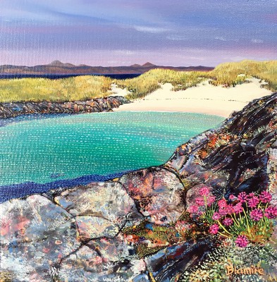 HOPE BLAMIRE - sea pinks, camusdarach 