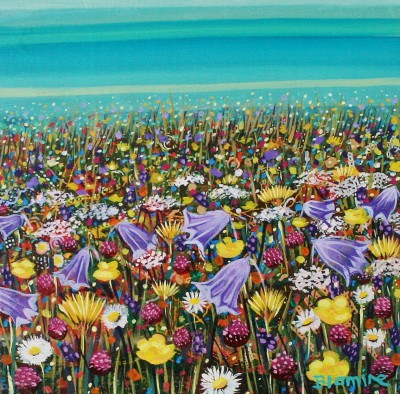 HOPE BLAMIRE - hebridean wildflowers