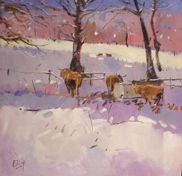 IAN ELLIOT - highland cattle