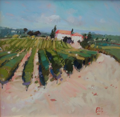 IAN ELLIOT - castello in july, tuscany