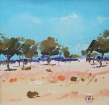 IAN ELLIOT - telegraph wire, mallorca