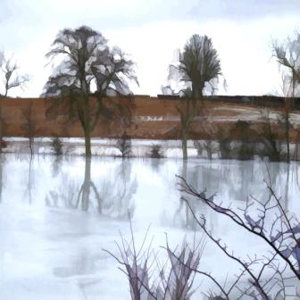 Flooded Field in Winter