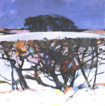 Winter Hedgerow