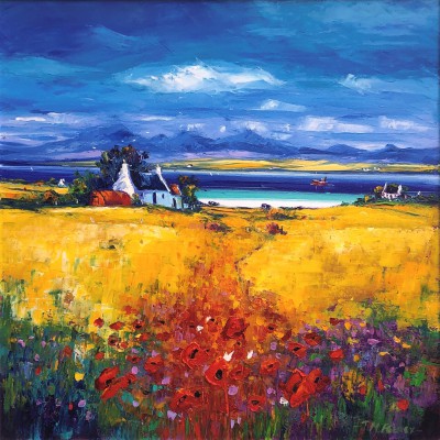 JEAN FEENEY - poppies growing at the edge of the field, isle of mull