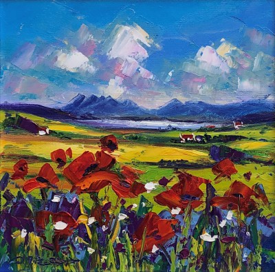 JEAN FEENEY - wild poppies, isle of skye