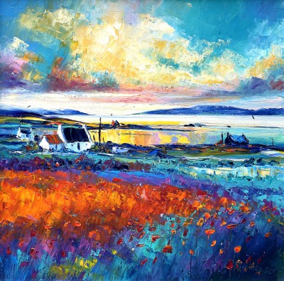 Wild Crocosmia at Sunset, Harris