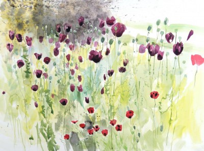 JENNY MATTHEWS - chaotic poppies