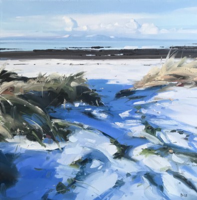 January, Barassie Beach